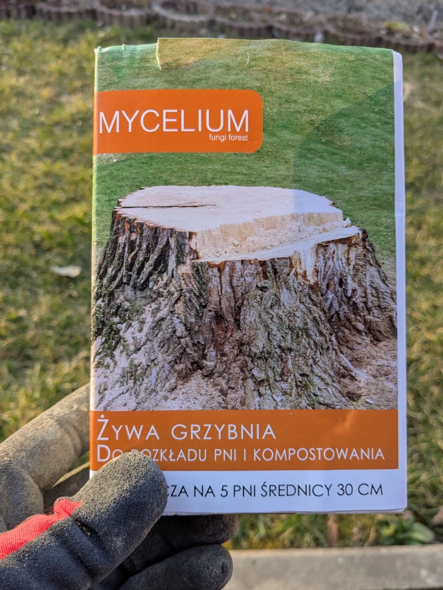 Proces usuwania pnia z wykorzystaniem grzybni